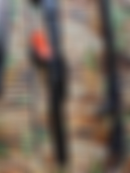 Rifle m 60 en san cristóbal