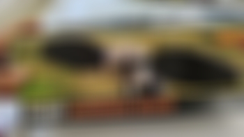 Señuelo rolones eléctrico rifle