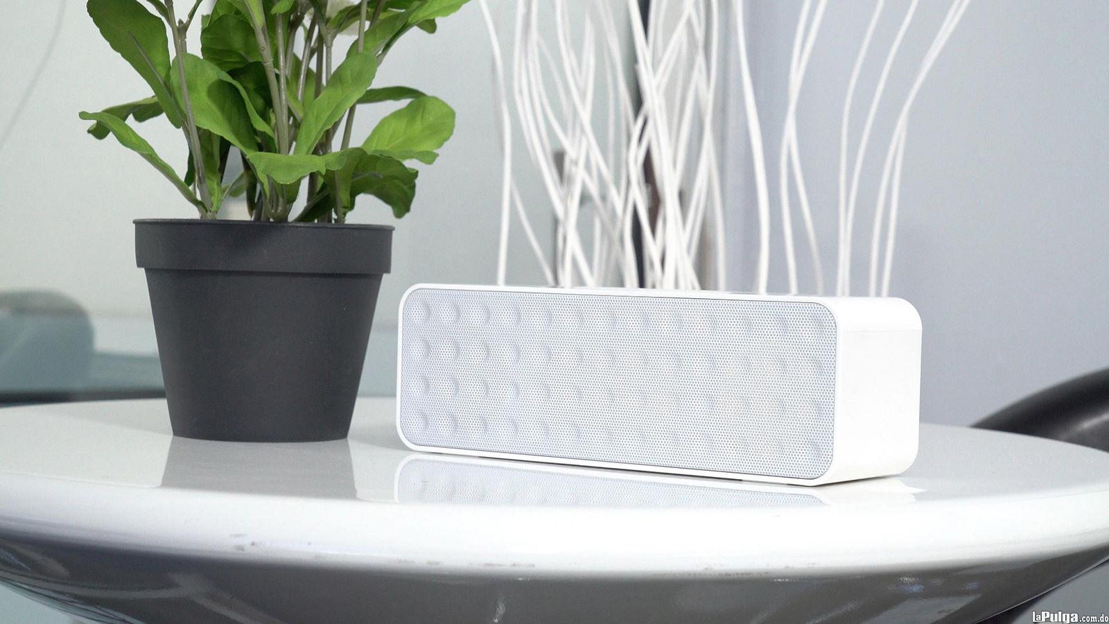 Bocina Bluetooth Rockville 30 Watts / 10 Horas Batería / Aux La Pulga