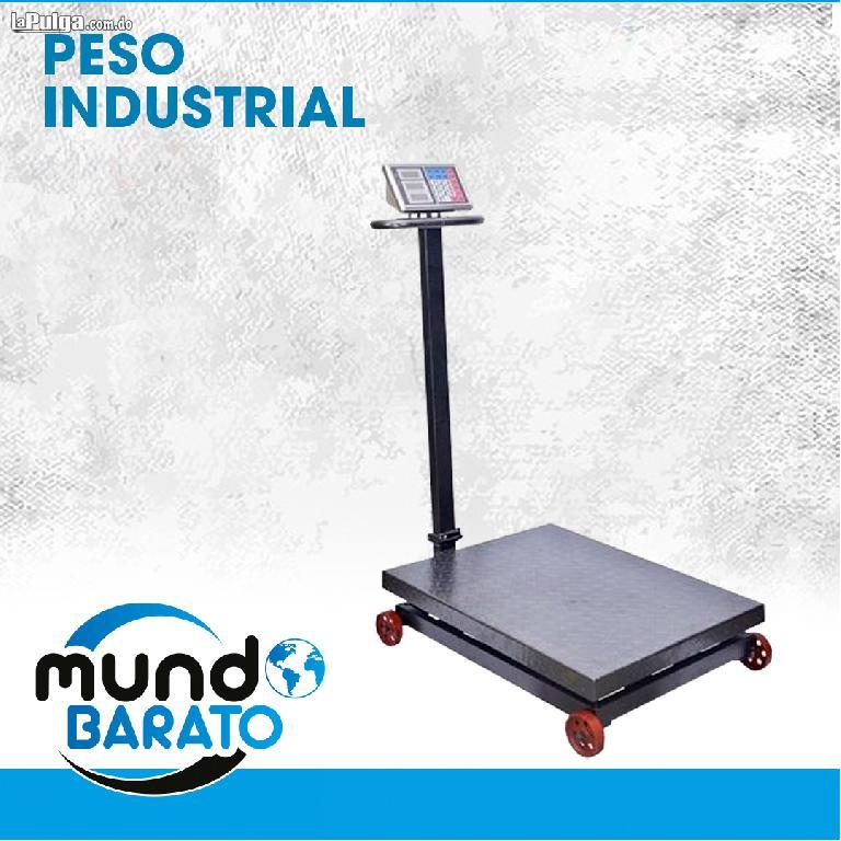 Balanza Peso Digital Bascula Industrial 1 Tonelada 1000kg Foto 6667043-3.jpg
