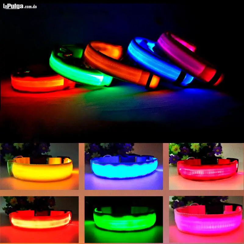 Collar Iluminado para Perros con Luces LEd Canino Ajustable de Segurid Foto 6814993-2.jpg