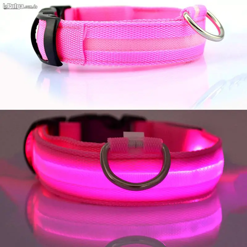 Collar Iluminado para Perros con Luces LEd Canino Ajustable de Segurid Foto 6814993-3.jpg