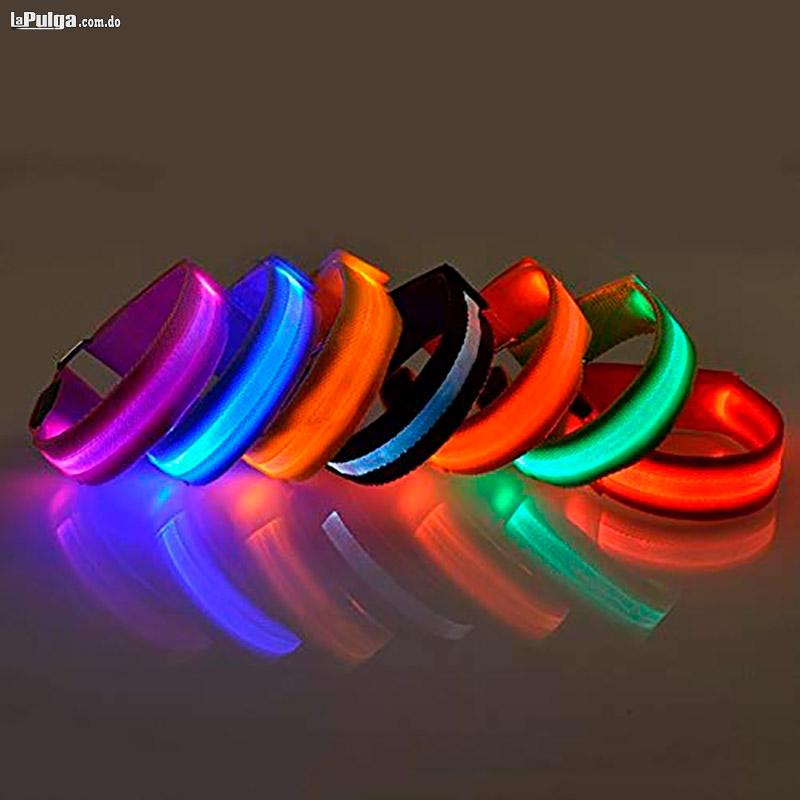 Collar Iluminado para Perros con Luces LEd Canino Ajustable de Segurid Foto 6814993-5.jpg