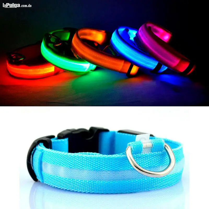 Collar Iluminado para Perros con Luces LEd Canino Ajustable de Segurid Foto 6814993-6.jpg