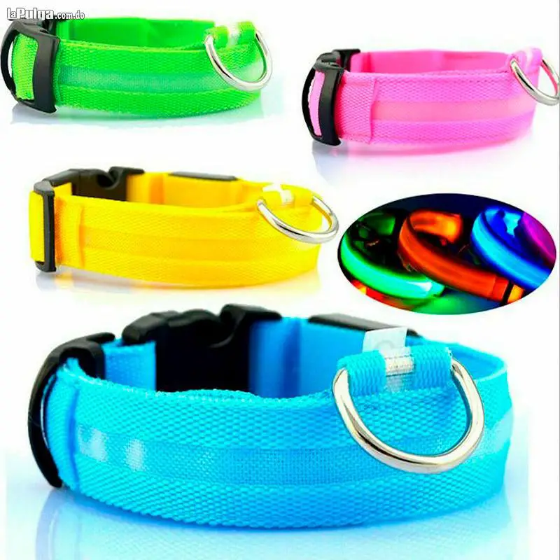 Collar Iluminado para Perros con Luces LEd Canino Ajustable de Segurid Foto 6814993-7.jpg