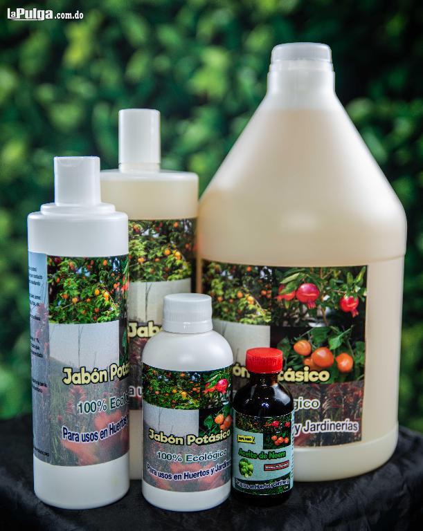 Jabon Potasico Insecticida Organico para Plantas Foto 6887726-1.jpg