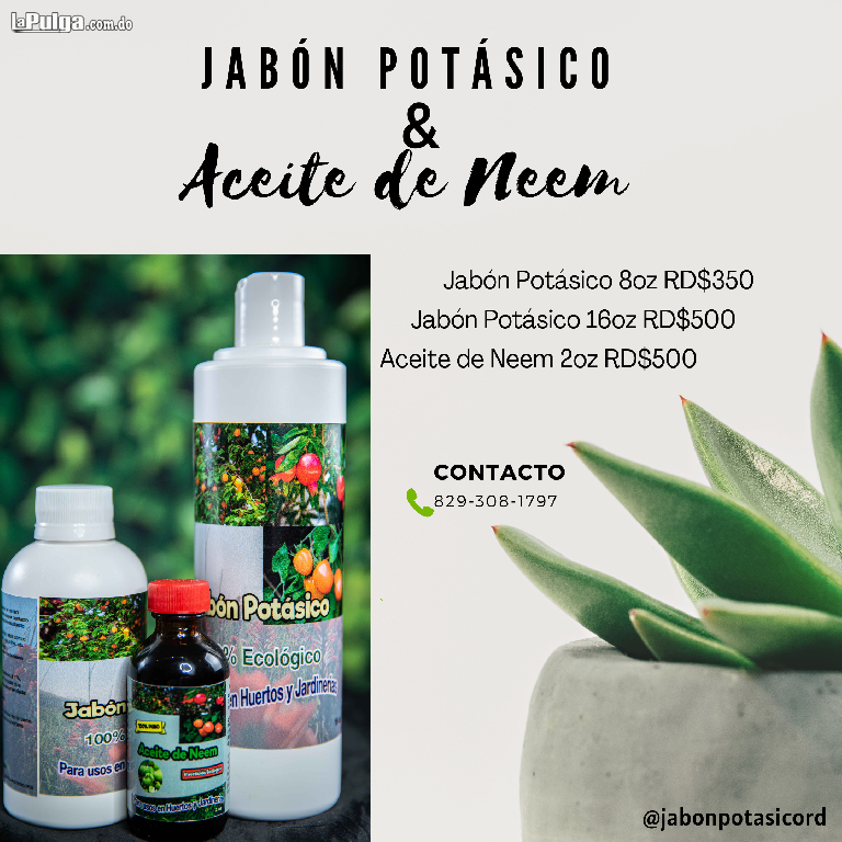 Aceite de Neem y Jabón Potásico 240 ml - Huertas en casa y productos en  Costa Rica