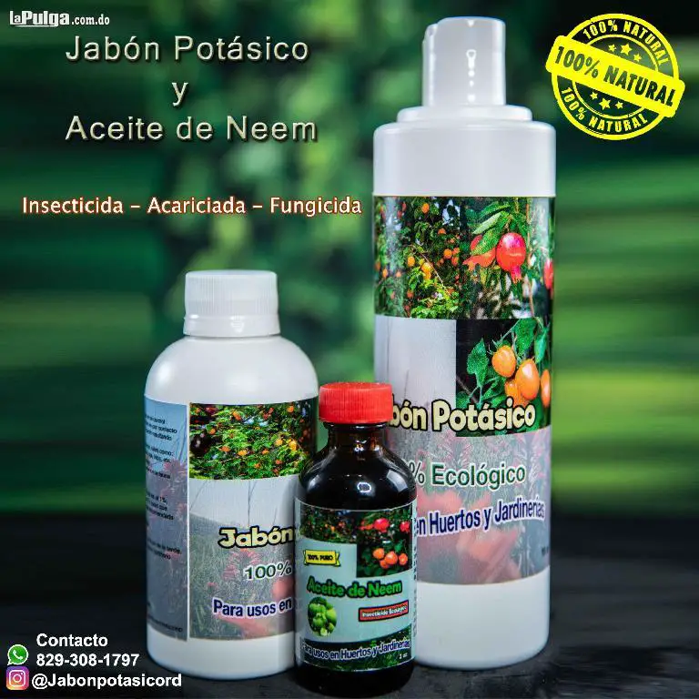 Aceite de Neem y Jabón Potásico 240 ml - Huertas en casa y productos en  Costa Rica