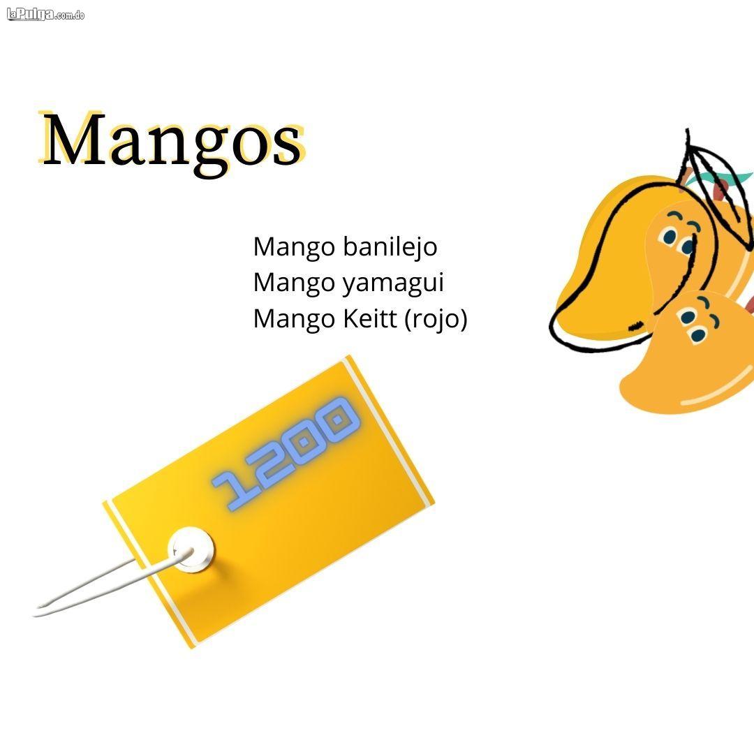 Venta de Matas de Mango Foto 6935706-1.jpg