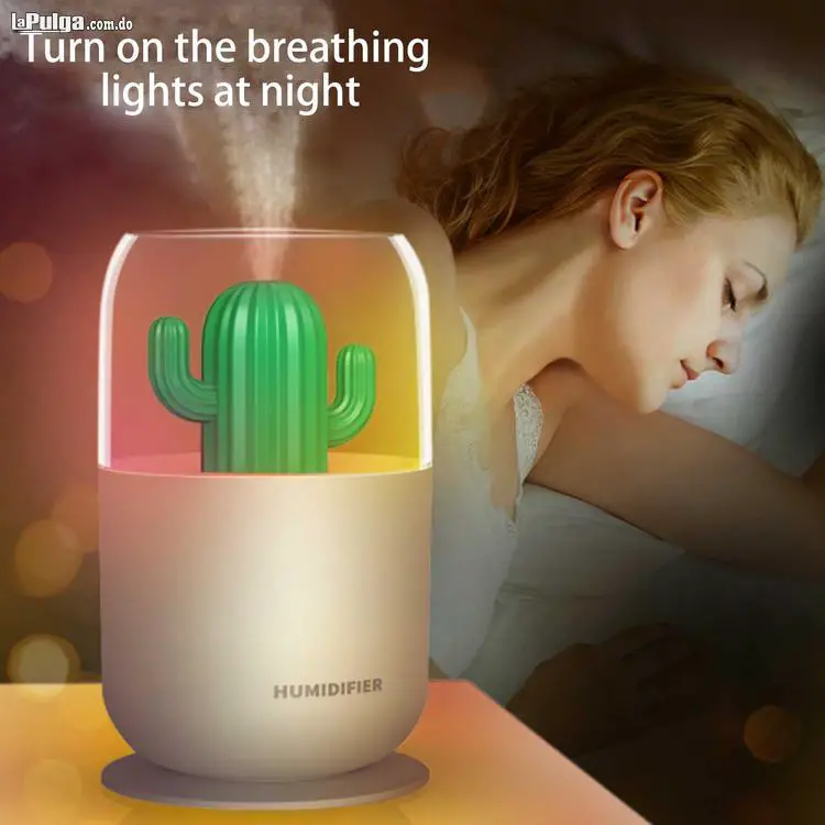 Humidificador Mini USB Cactus hogar dormitorio pulverizador de aire sa Foto 6970630-3.jpg