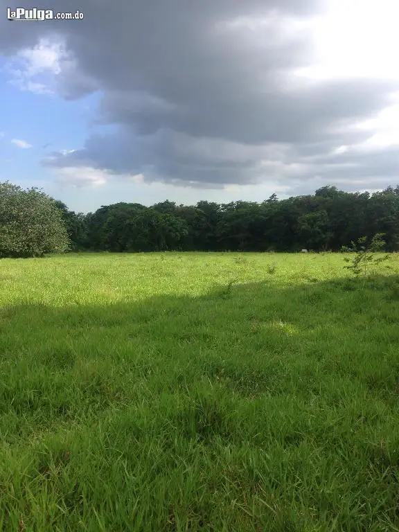 VENDO FINCA PARA GANADO  EN BAYAGUANA DE OPORTUNIDAD Foto 6974534-5.jpg