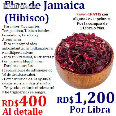 Hierbas medicinales Naturales y Productos Orgánicos en General Foto 7000154-2.jpg