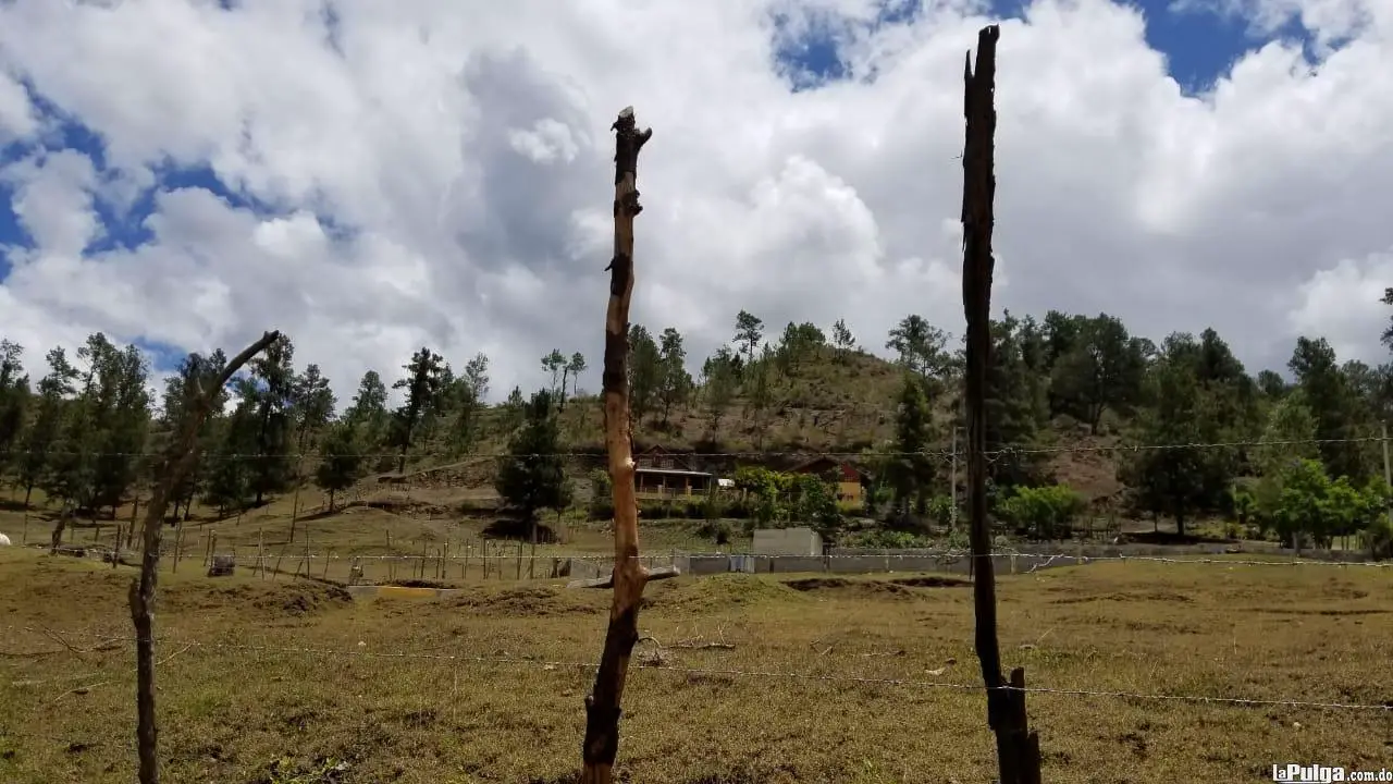 Solares En Constanza Con Titulo Desde 700 Mts2 En Adelante
