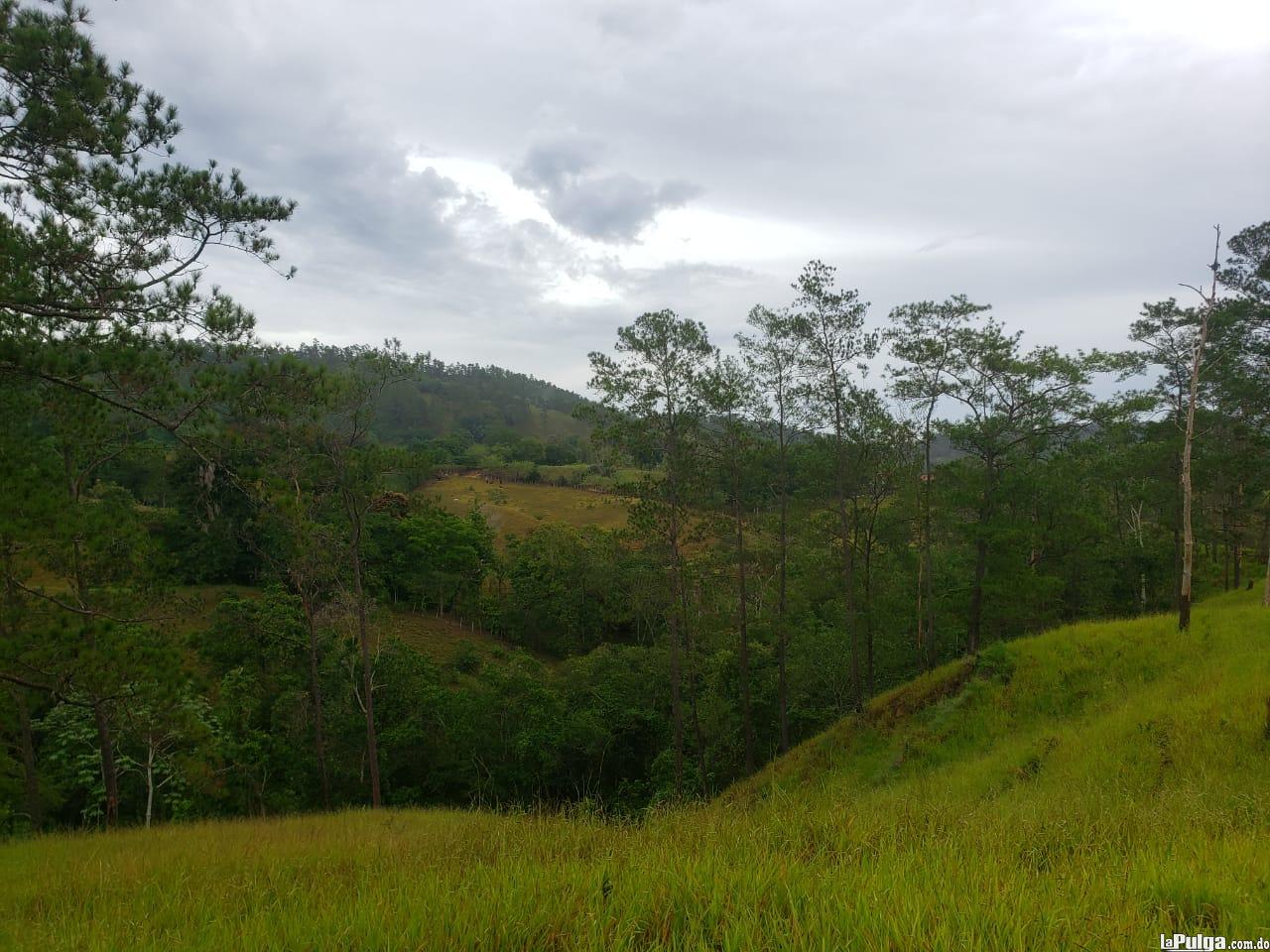 Finca De 47 Tareas En Jarabacoa Con TÃ­tulo