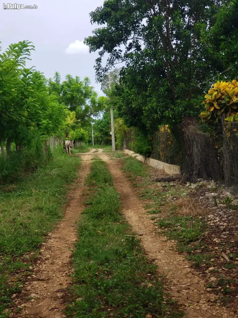 En venta terreno para proyecto residencia turístico o agrícola Foto 7049795-2.jpg