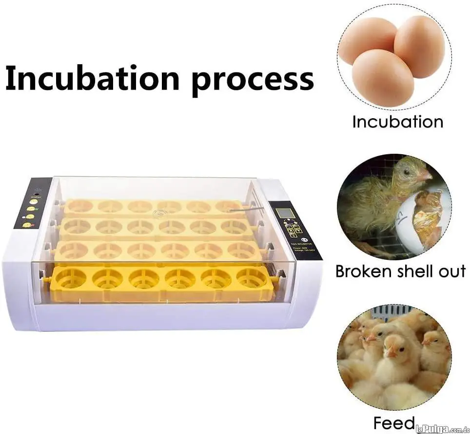 Incubadoras de 24 huevos automatico Pollo Ganso Pato Aves de corral Foto 7050982-1.jpg