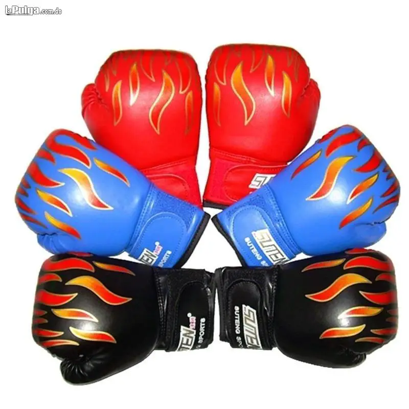 GUANTES DE BOXEO ADULTOS Foto 7060278-1.jpg