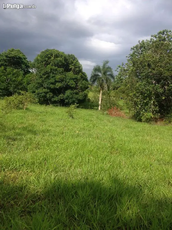 FINCA DE 1310 TAREAS VOCACION GANADERA EN BAYAGUANA Foto 7074569-2.jpg