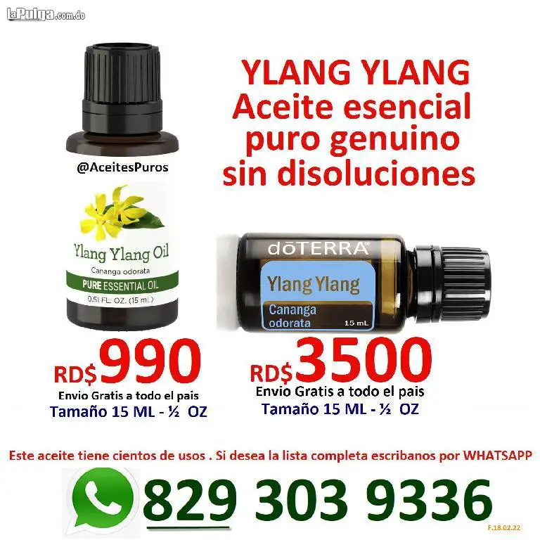 YLANG YLANG ilan ilan ylanylan aceites puros originales Foto 7080879-1.jpg