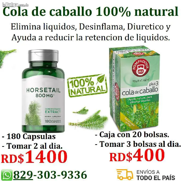 Cola de caballo en hierbas y cápsulas para el crecimiento del cabello Foto 7099010-1.jpg