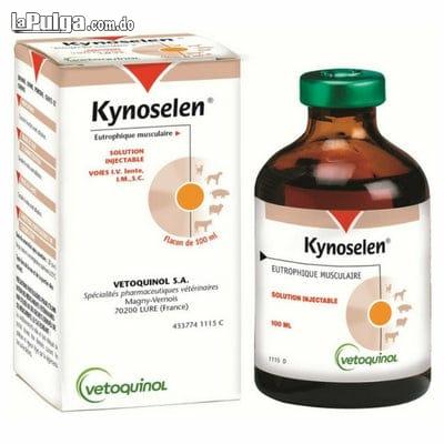 Kynoselen 100cc multivitaminico veterinario. Foto 7112508-2.jpg