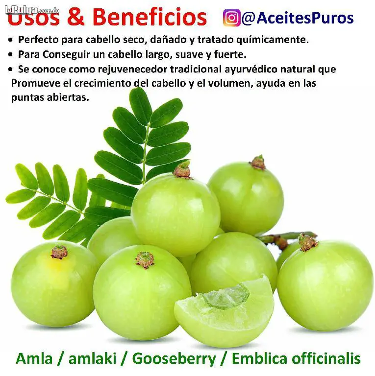 Amla grosellero aceite original puro importado garantizado amalaki  Foto 7119769-3.jpg