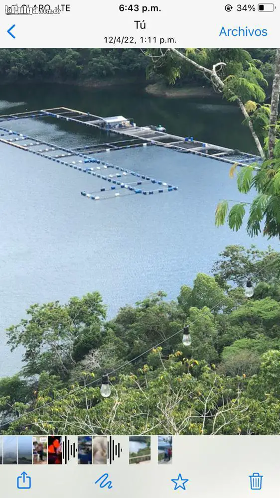 Mallas para redes en Santo Domingo Este en Puerto Plata Foto 7122269-2.jpg