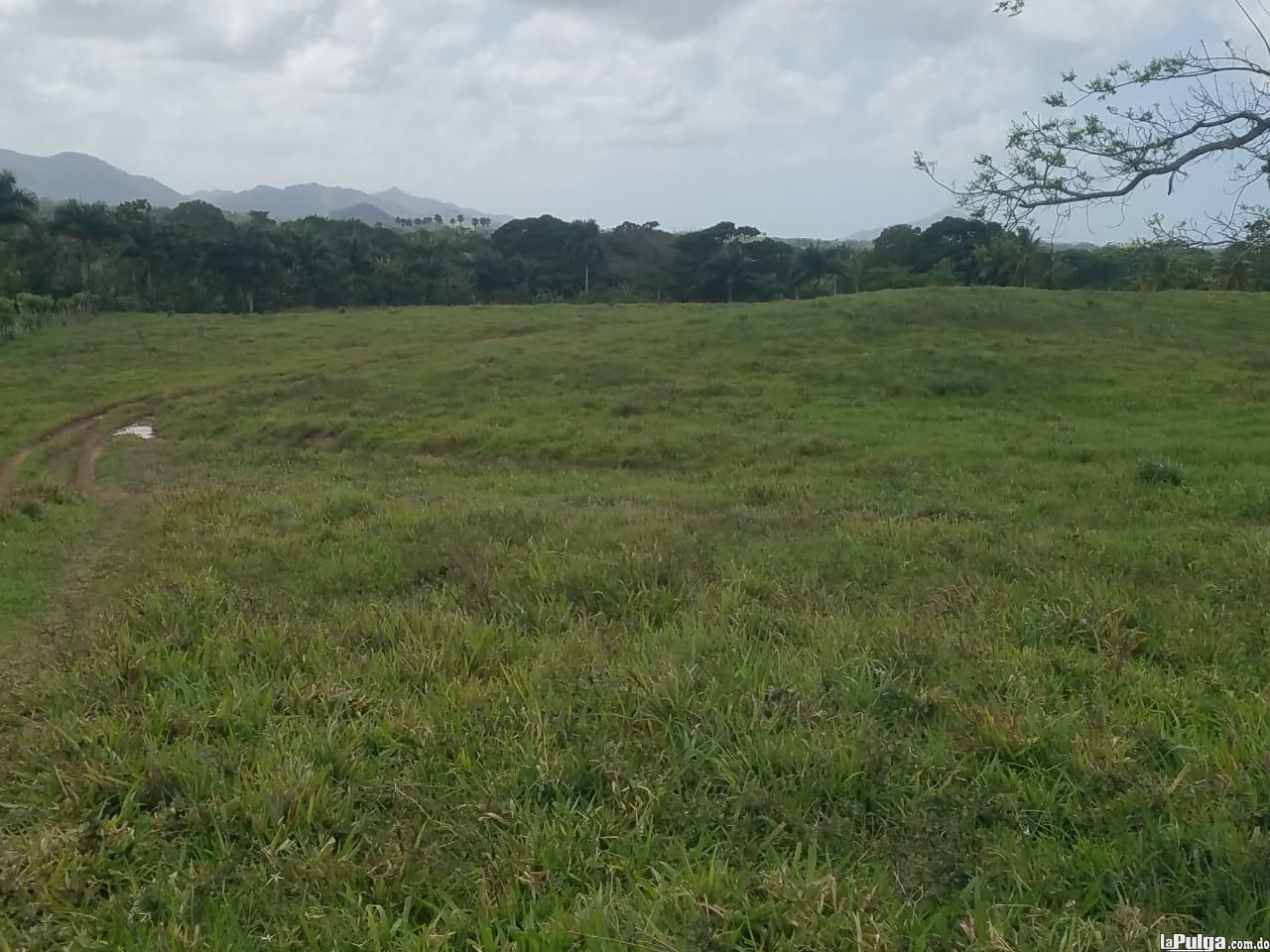 Vendo terreno Agrícola Bávaro Nisibon Foto 7127644-2.jpg