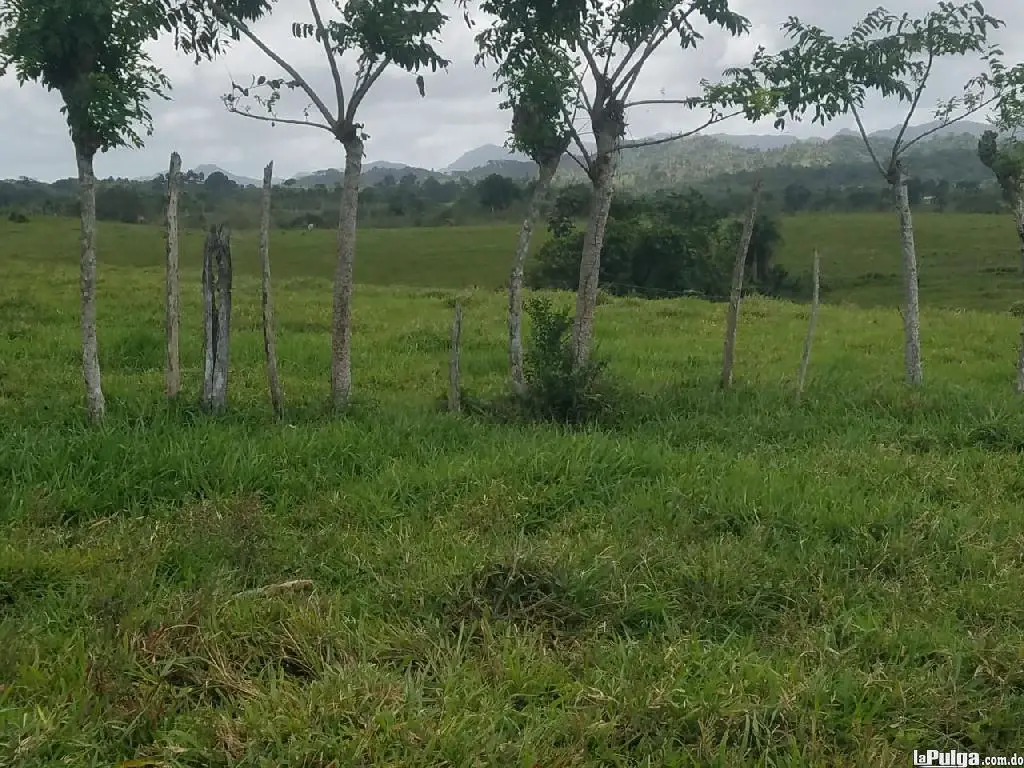 Vendo terreno Agrícola Bávaro Nisibon Foto 7127644-3.jpg