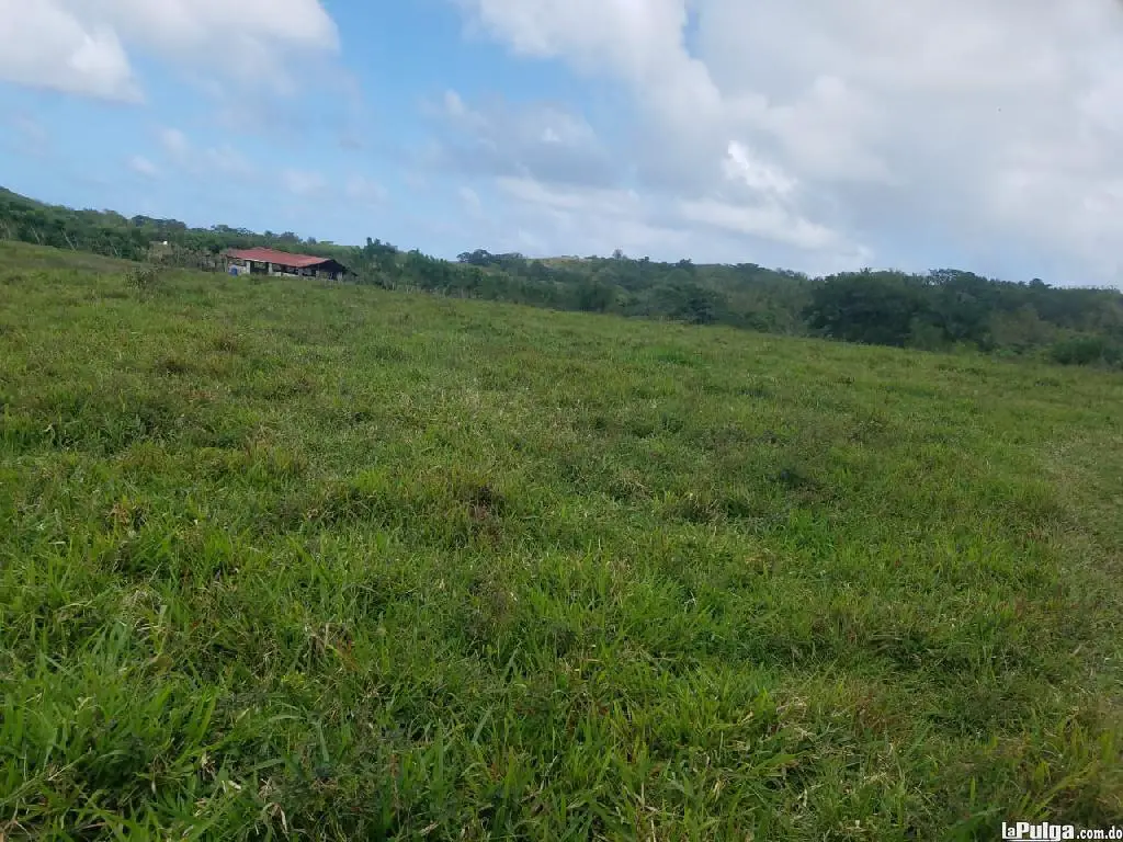 Vendo terreno Agrícola Bávaro Nisibon Foto 7127644-4.jpg