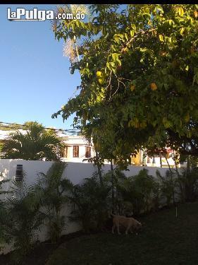 Se Alquila Casa en zona residencial y centrica  Foto 7130270-2.jpg