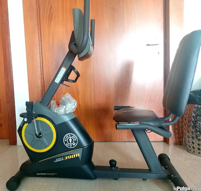 Bicicleta Estacionaria Golds Gym 390r Foto 7130906-2.jpg