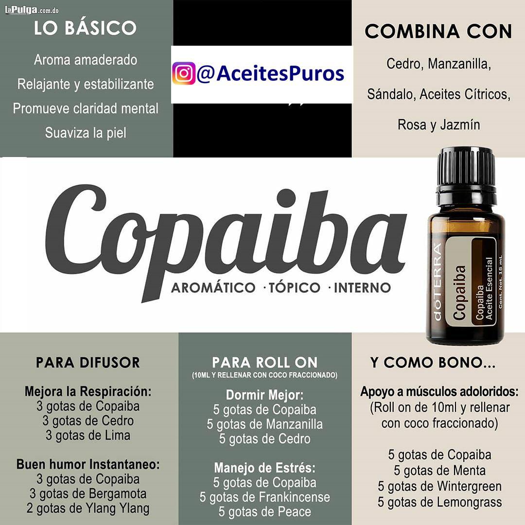 doTERRA YOUNG LIVING y otras marcas de fama Mundial Aceite de Copaiba  Foto 7131040-1.jpg