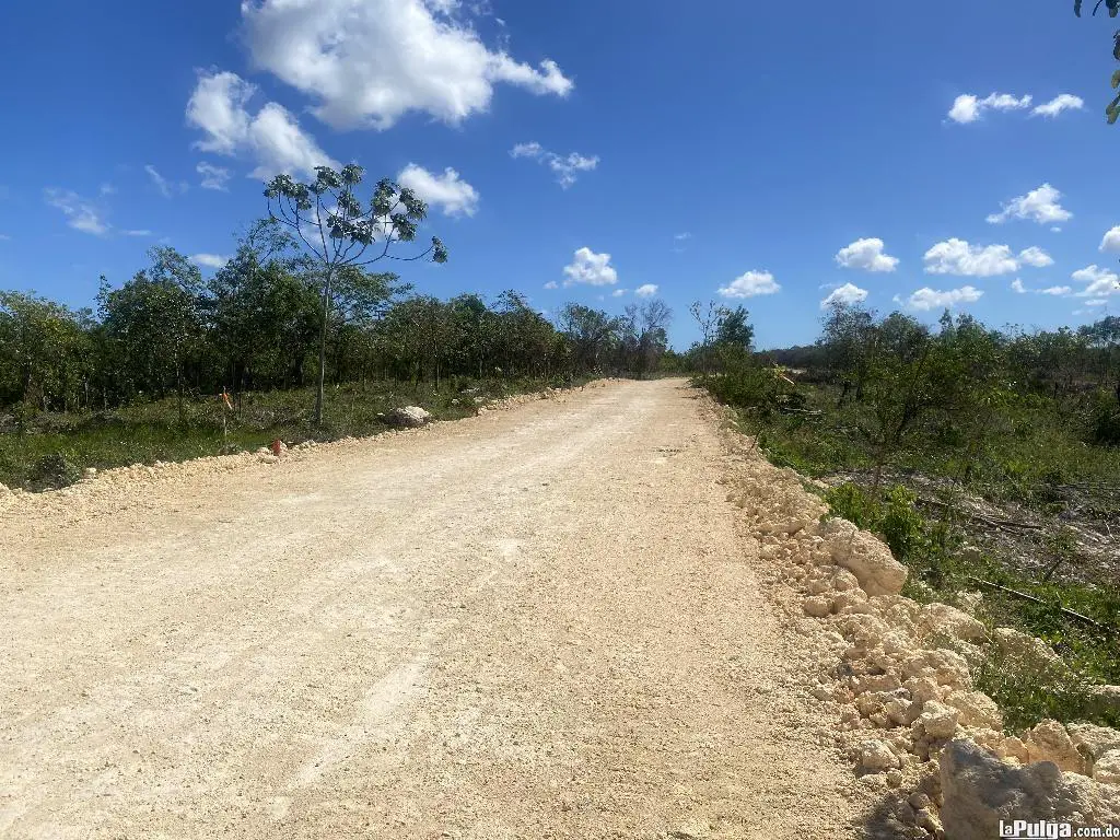 Venta de solares residenciales en bavaro a solo 2700 pesos  Foto 7133855-2.jpg