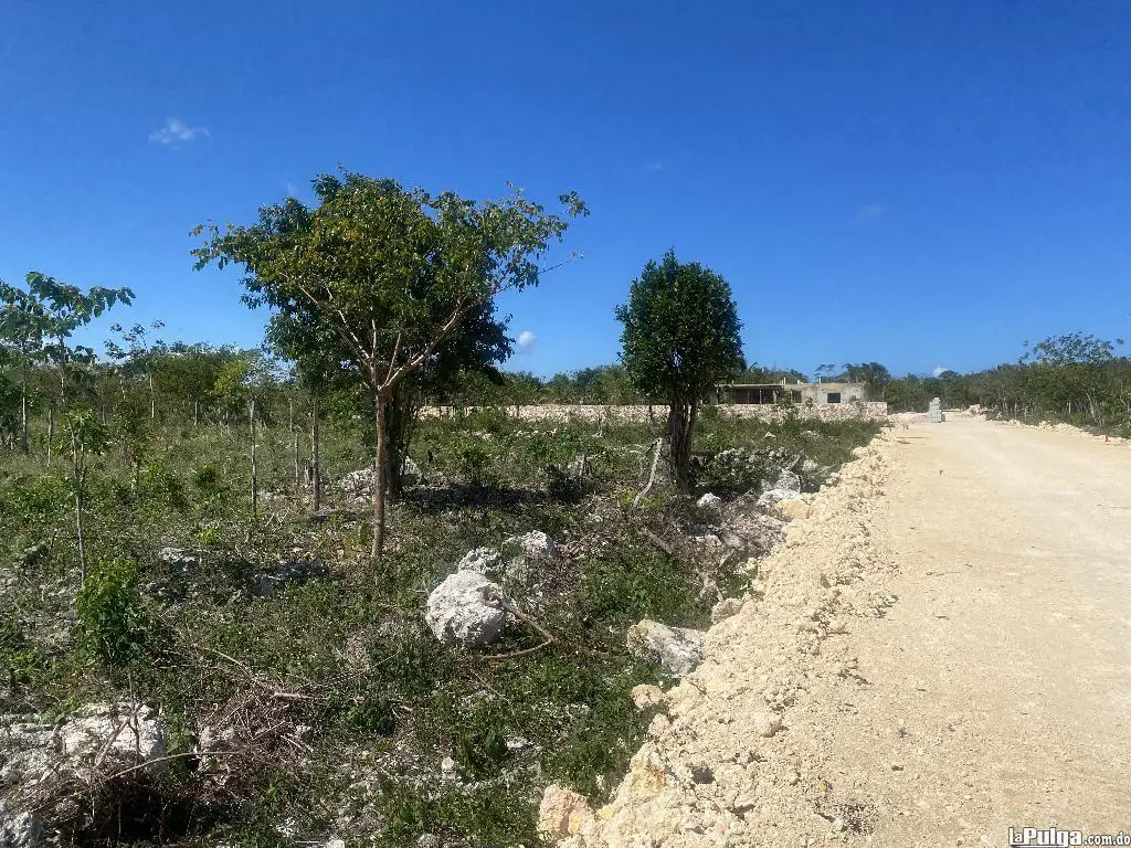 Venta de solares residenciales en bavaro a solo 2700 pesos  Foto 7133855-5.jpg