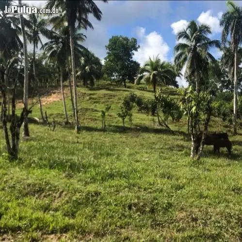 Venta de Finca de 1000 tareas con rio en Hato Mayor Foto 7134034-2.jpg