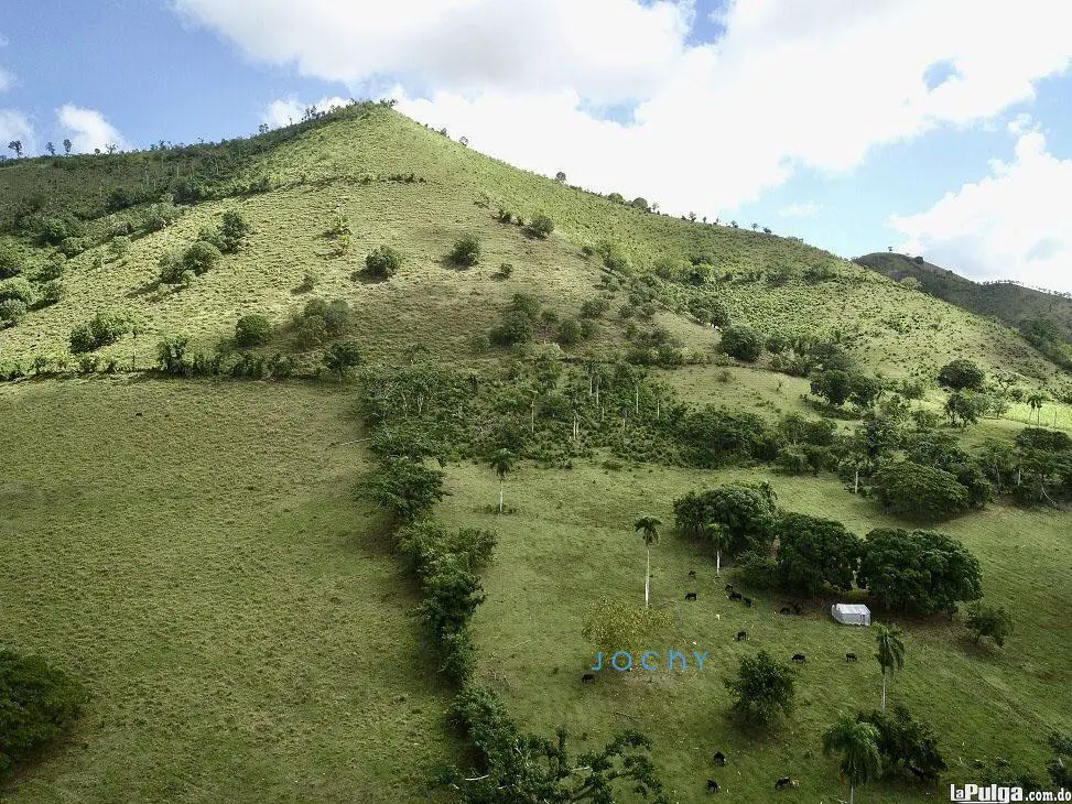 Jochy Real Estate vende finca en el cruce de pavón  El Seibo Foto 7134283-2.jpg