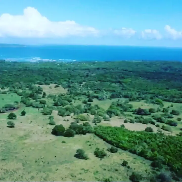 En las Galeras SamanaTerreno en Venta 33.mil Metros. Foto 7135671-2.jpg