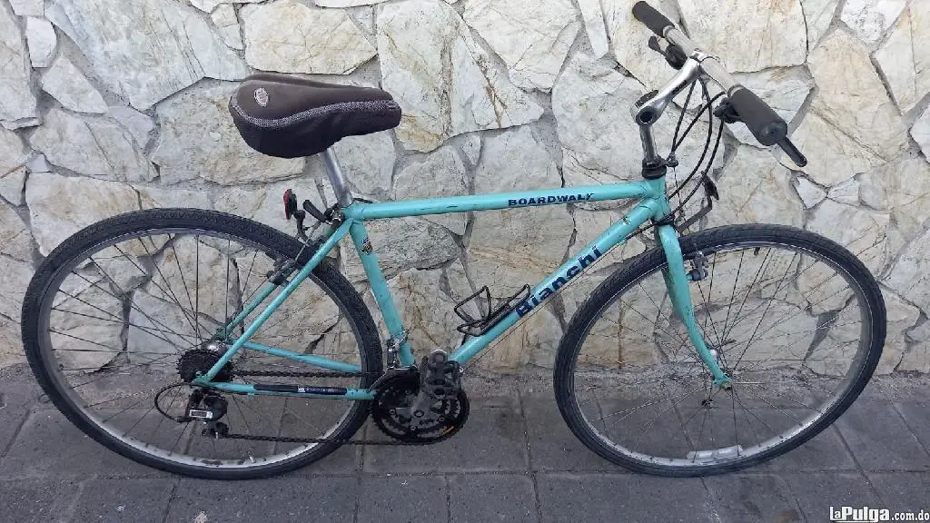 Bianchi hibrida clearance