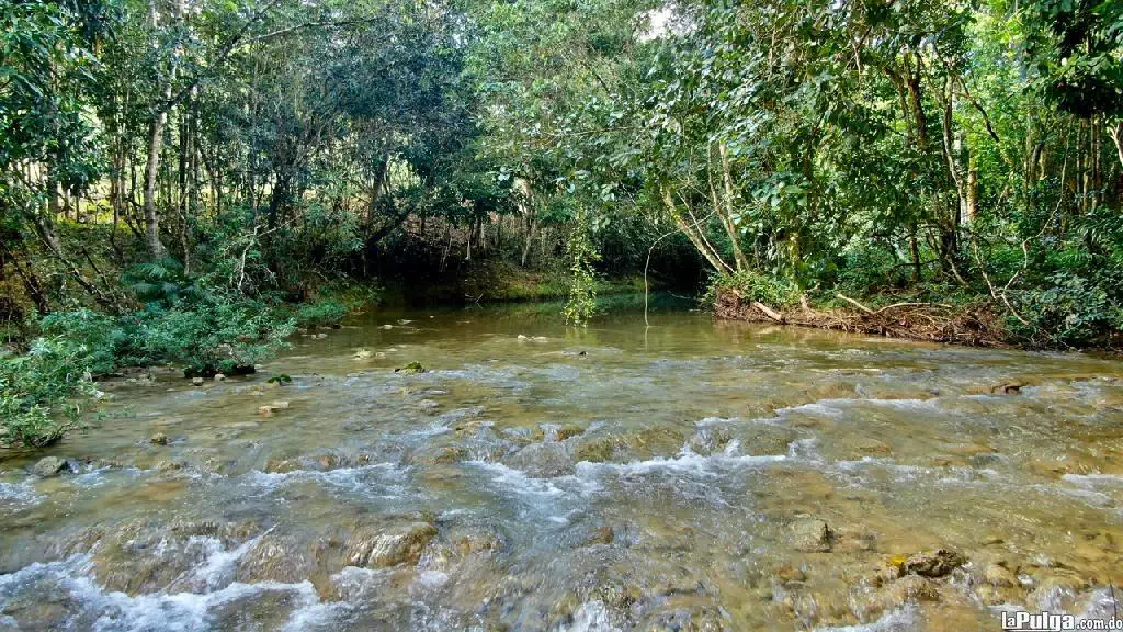 Finquitas de veraneo con río en boya Monte plata 2500mt. Foto 7139130-1.jpg