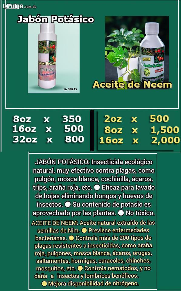 Jabón Potásico + Aceite de Neem - Gotero