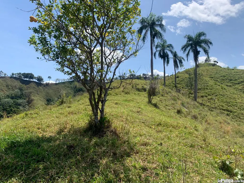 Venta de Finca en Los Churumbeles Bobita Río San Juan. Foto 7141176-2.jpg