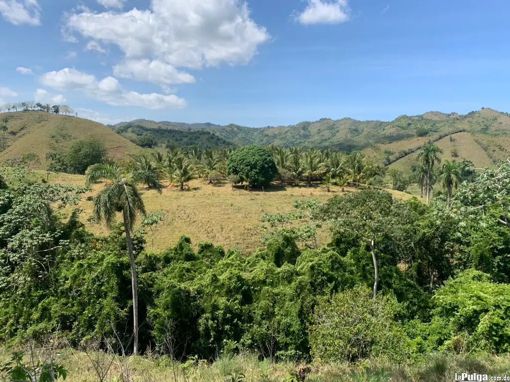 Venta de Finca en Los Churumbeles Bobita Río San Juan. Foto 7141176-3.jpg