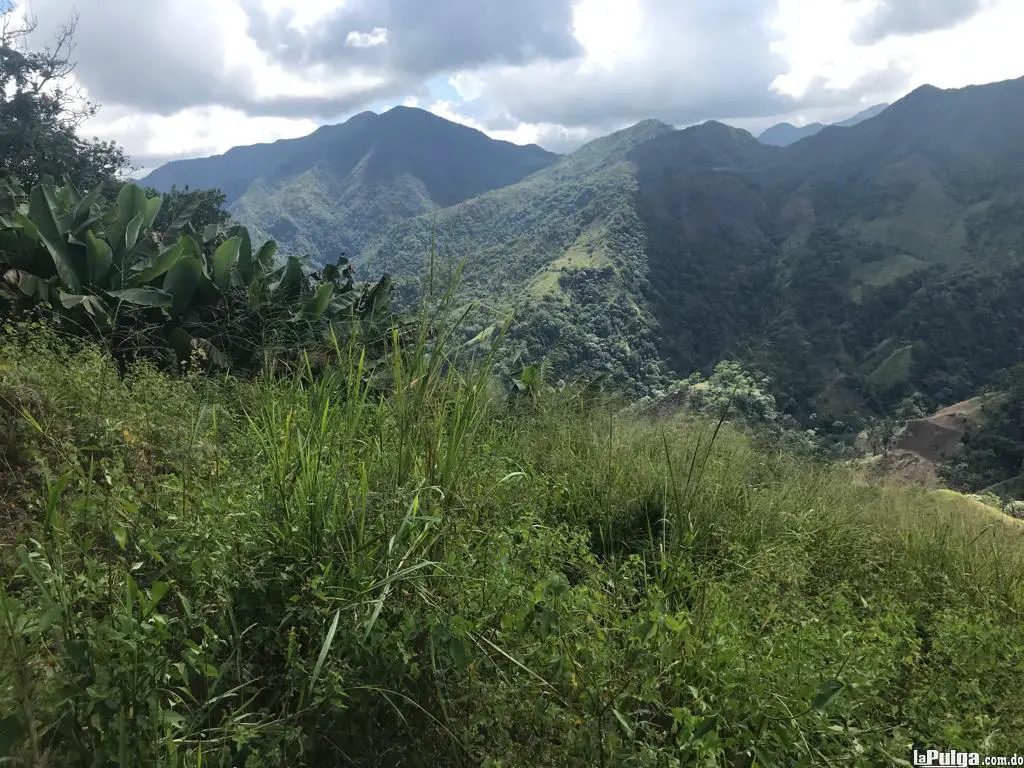 VENTA DE TERRENO AGRICOLA EN LOS RANCHITOS  OCOA Foto 7146649-4.jpg