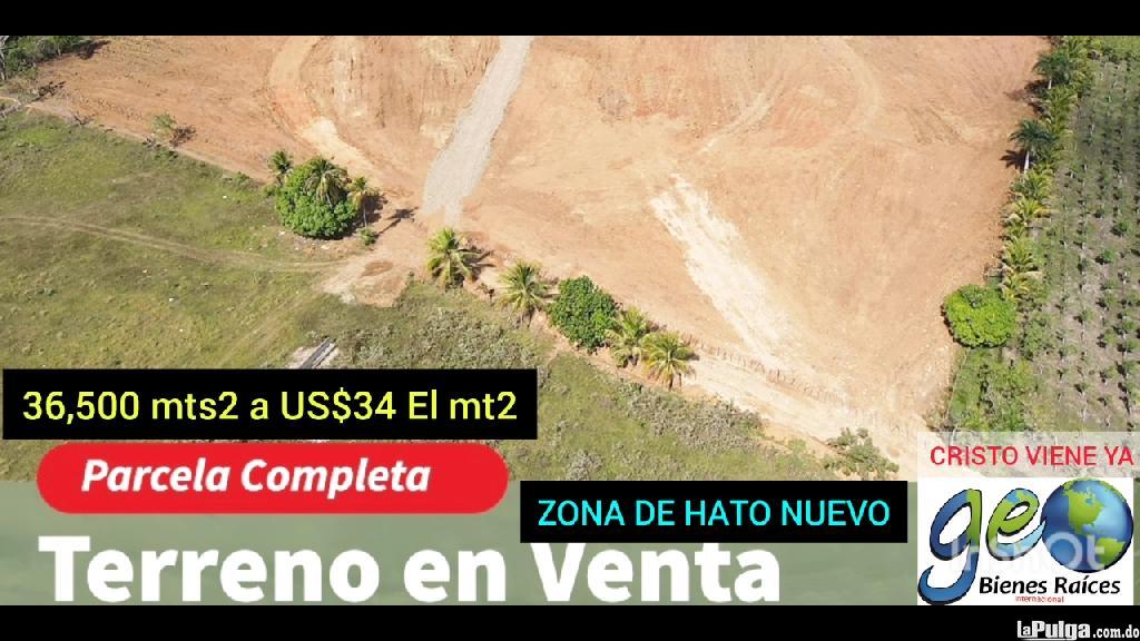 Terreno de 36500 Mts en Venta en Hato Nuevoa Manoguayabo  Foto 7148142-2.jpg