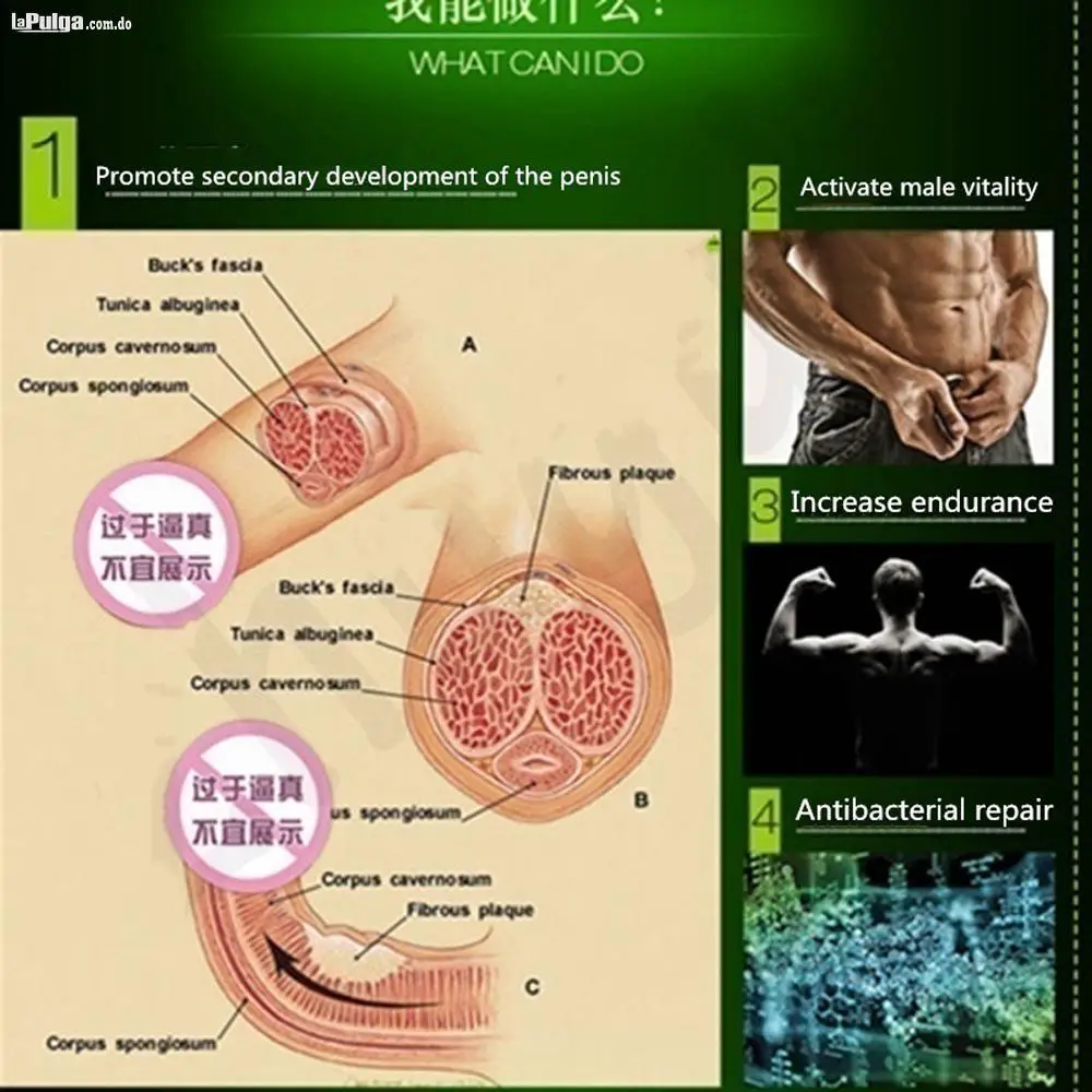 Crema para hombres Crecimiento y Grosor y Potencia  Foto 7149547-4.jpg