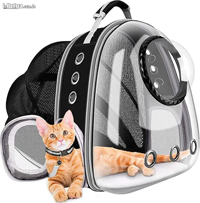 Mochila para gatos bolsa de burbujas para perros mochila para perros Foto 7150982-3.jpg