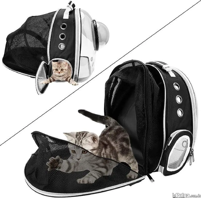 Mochila para gatos bolsa de burbujas para perros mochila para perros Foto 7150982-7.jpg