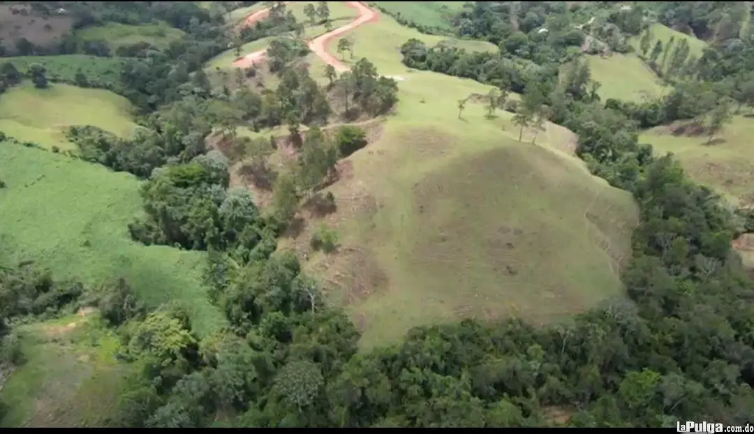 Vendo 100 Tareas de Tierra en Jarabacoa Foto 7151449-4.jpg