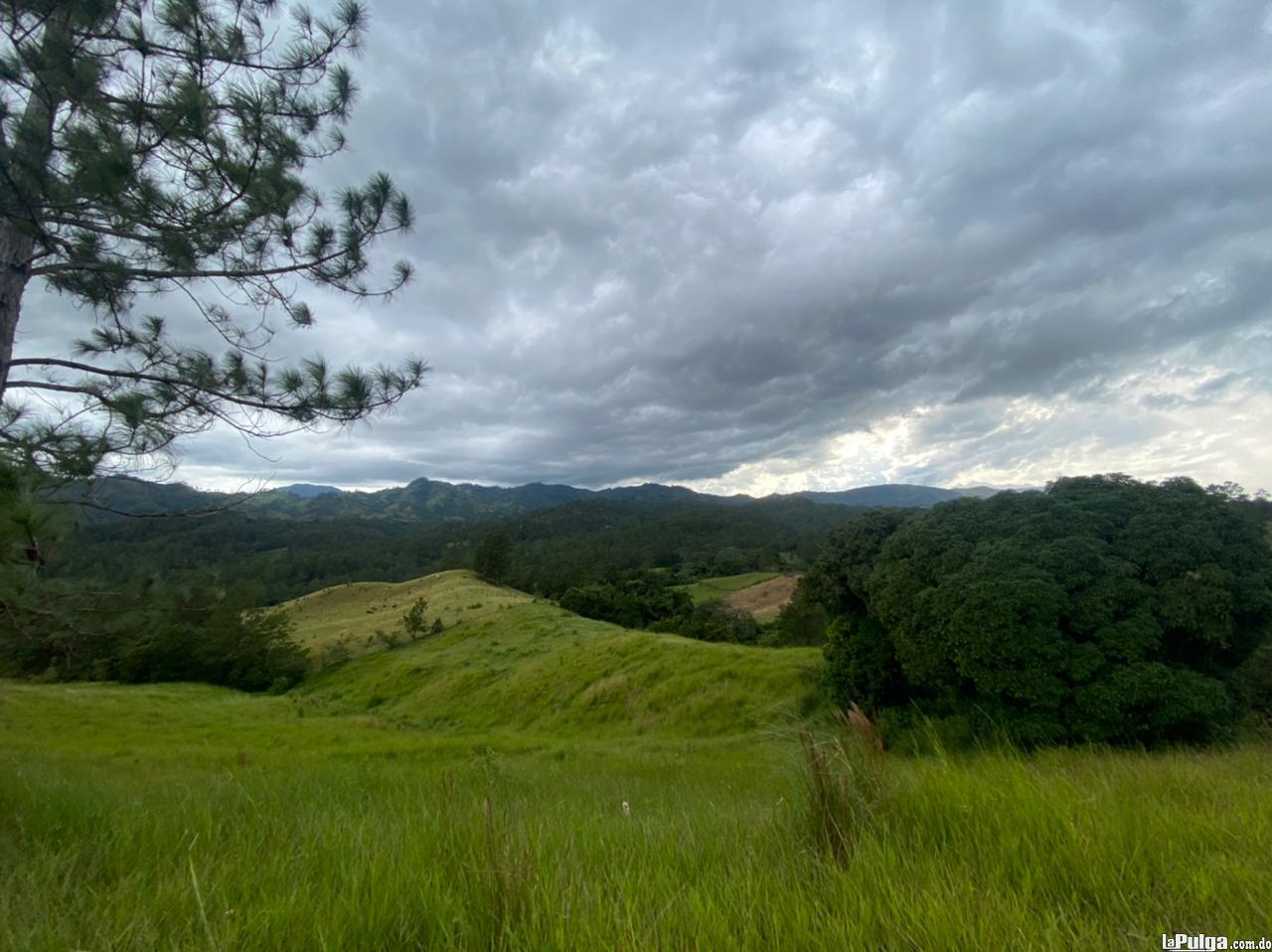 Se vende Finca en Jumunuco Jarabacoa Foto 7151936-5.jpg